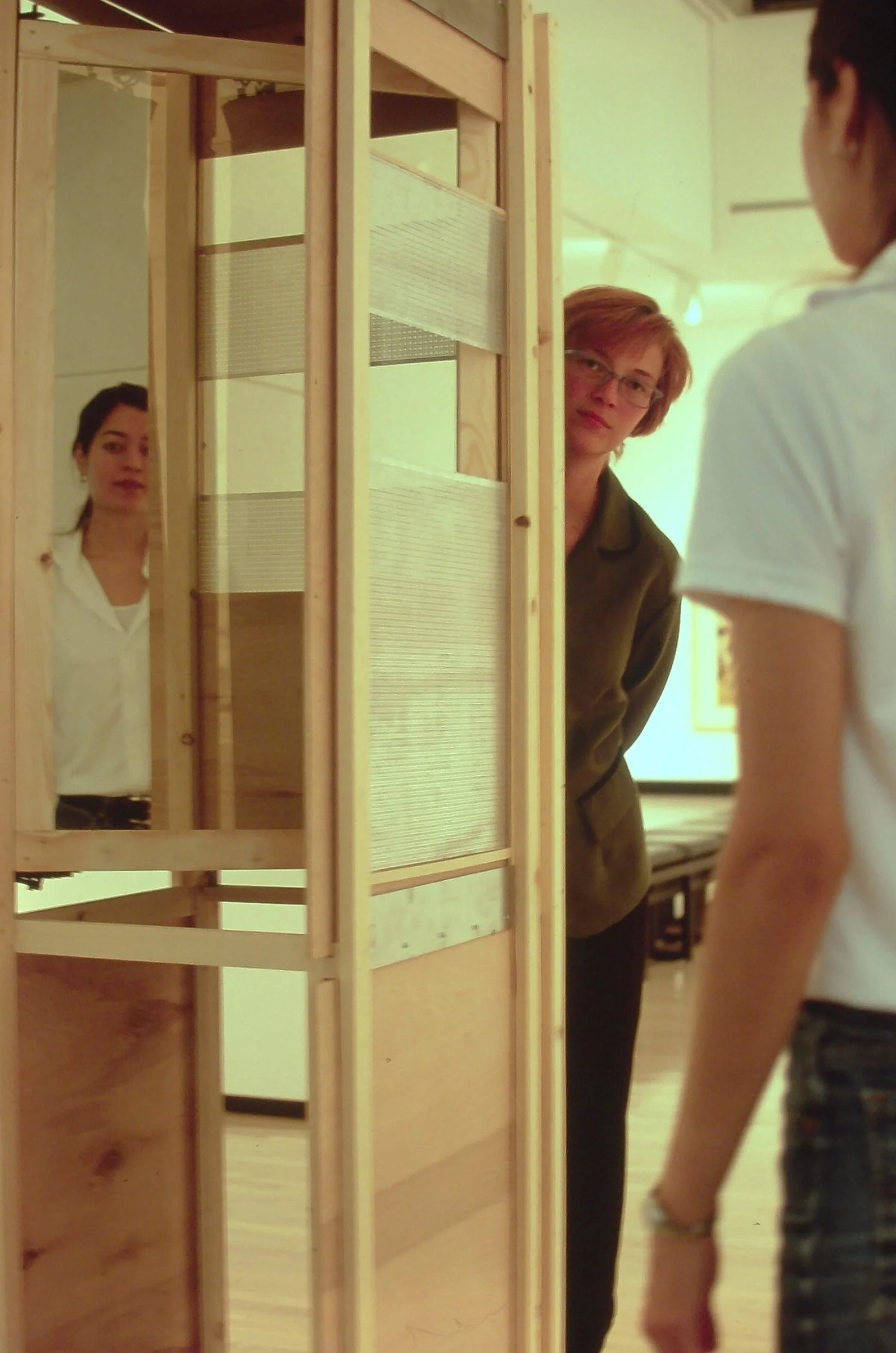 Viewing Screen, the museum intervention