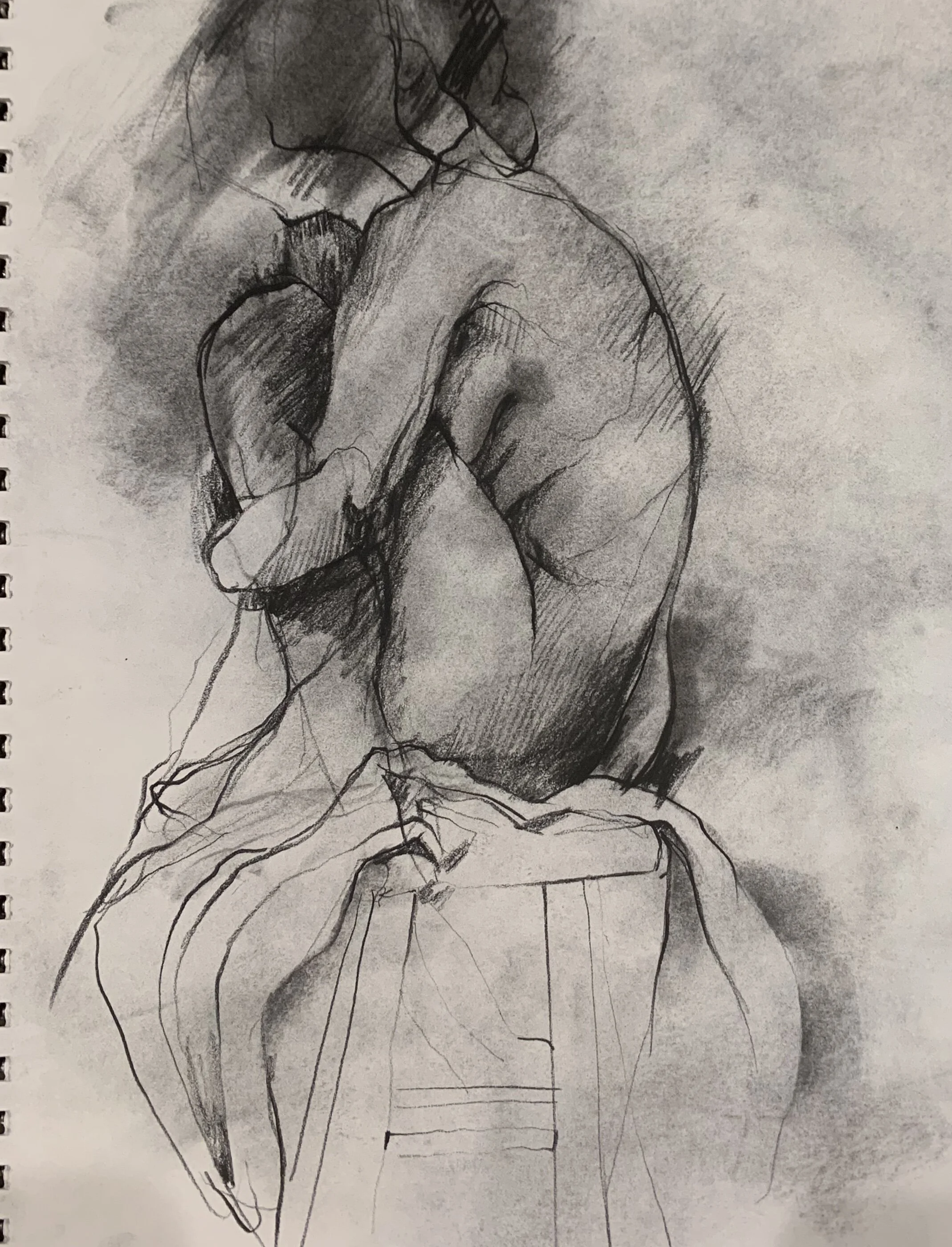 bachelor of fine arts