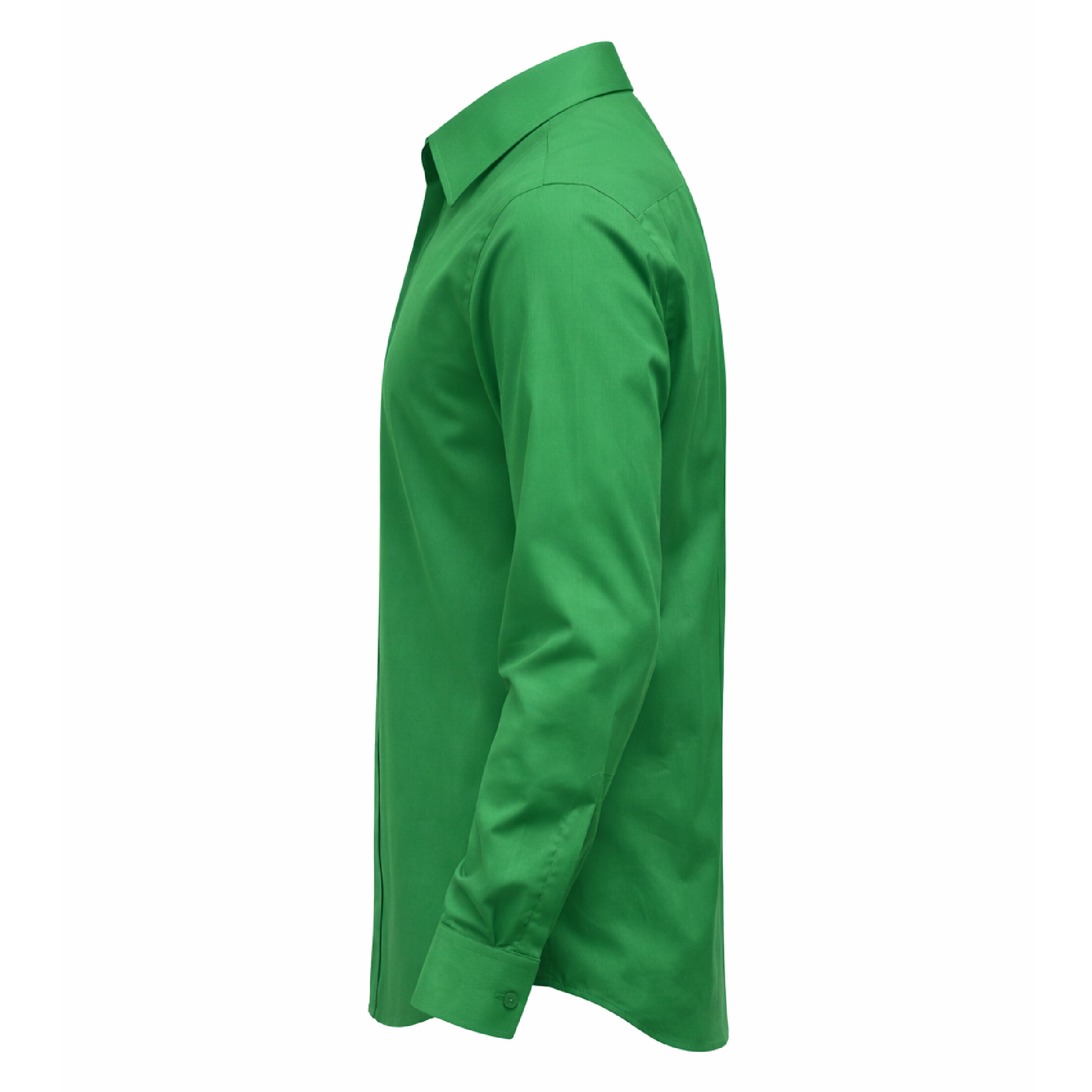 Kelly Hidden Placket Shirt2.png