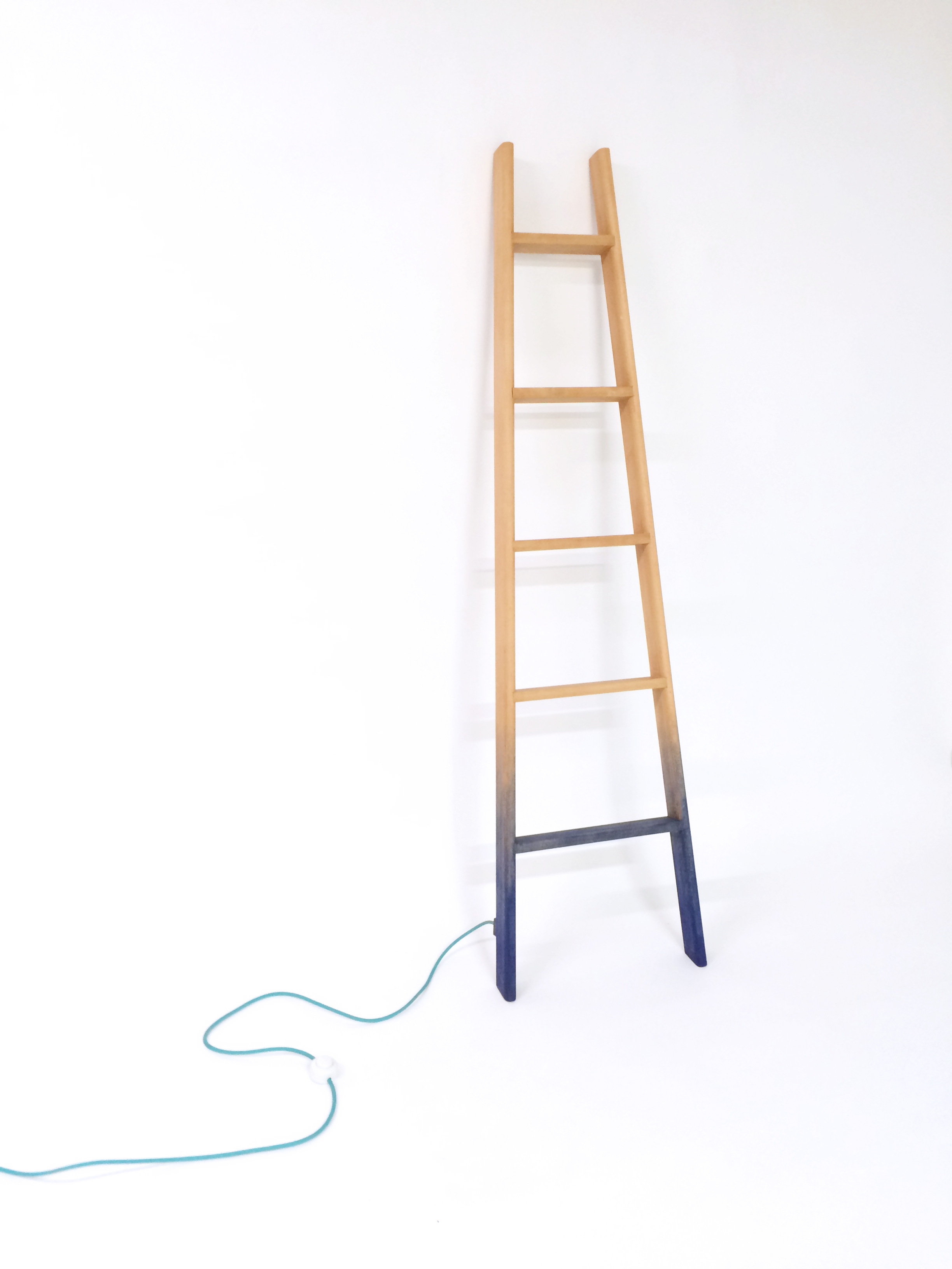 ladder off 1.jpg
