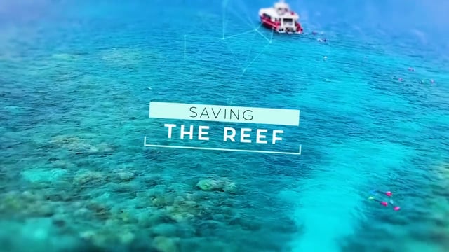 Tech Know - Great Barrier Reef Clip 01: Al Jazeera English