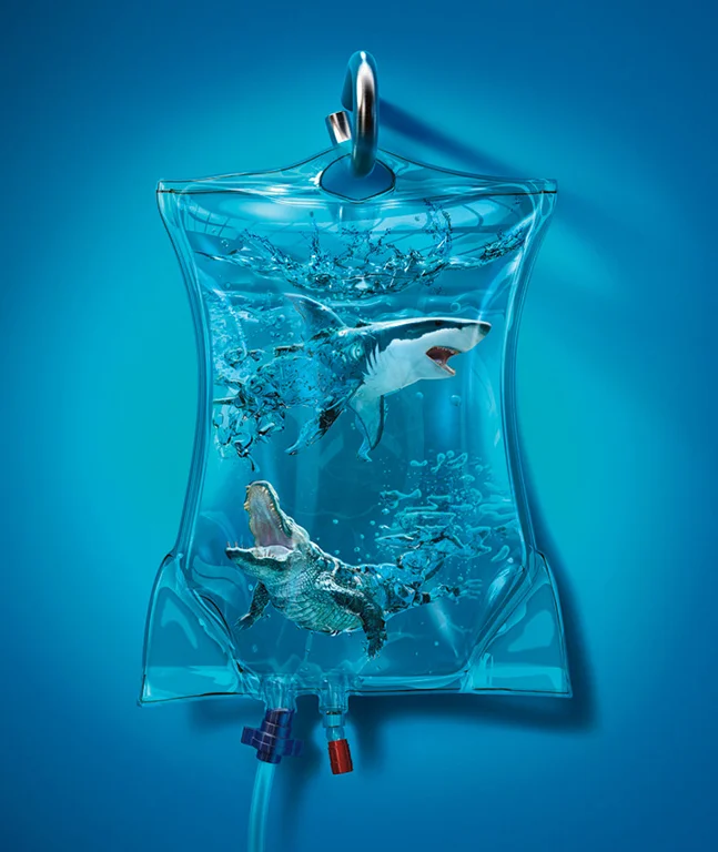 Agency Job, Responsible for Shark and moddeling various water bubbles.