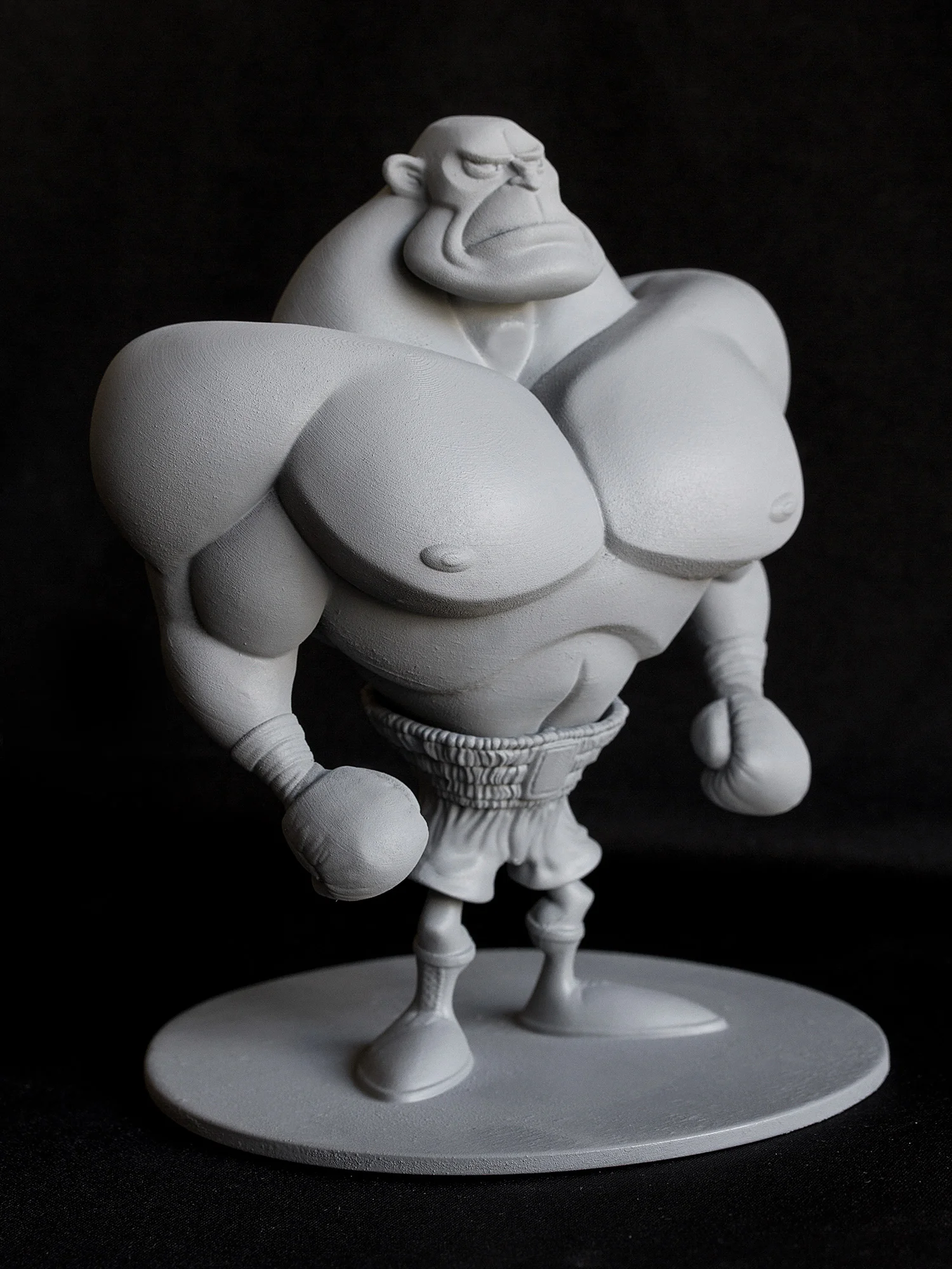 Boxer_angle2.jpg