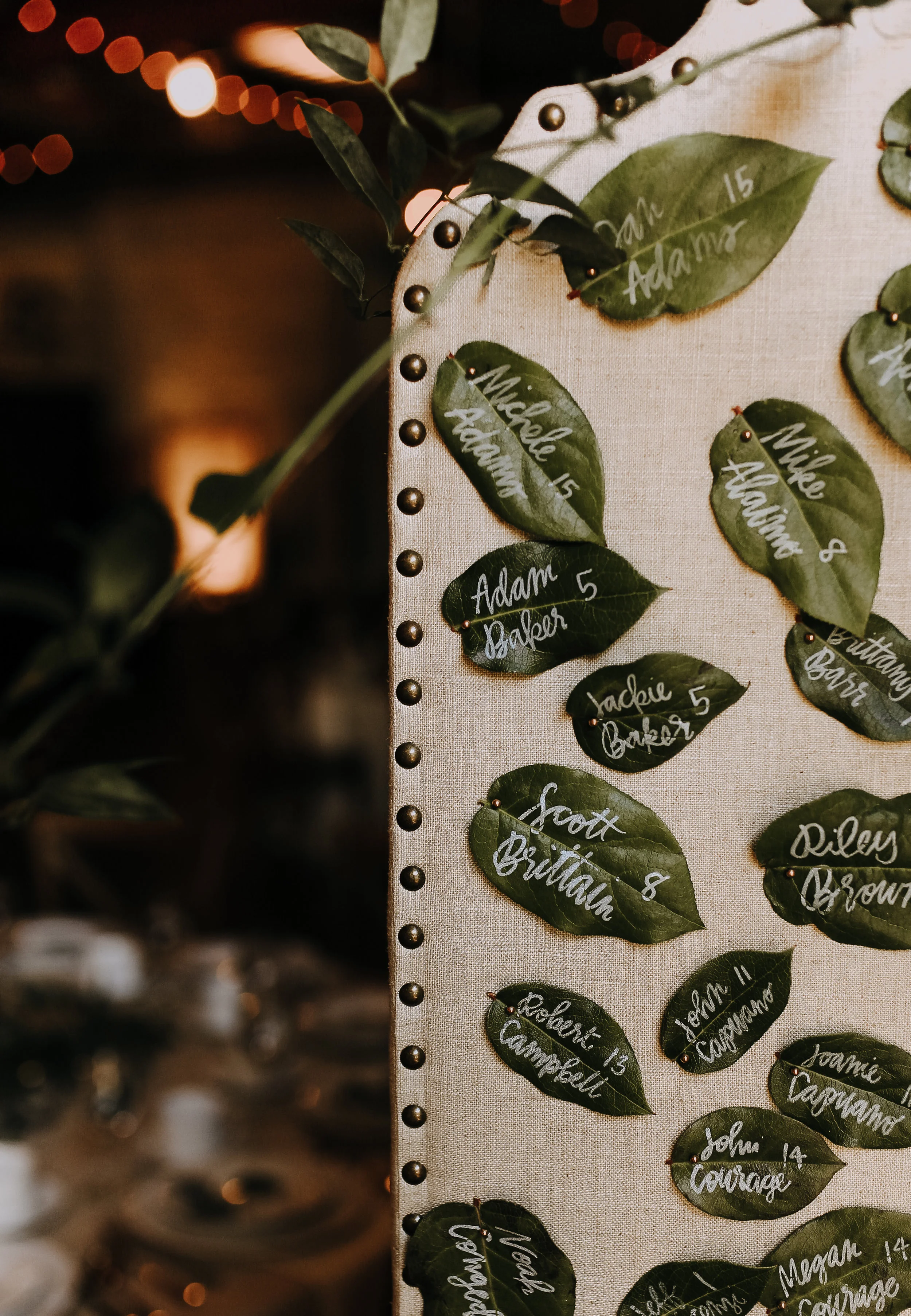 Rachel+Timothy_Wedding_664.jpg