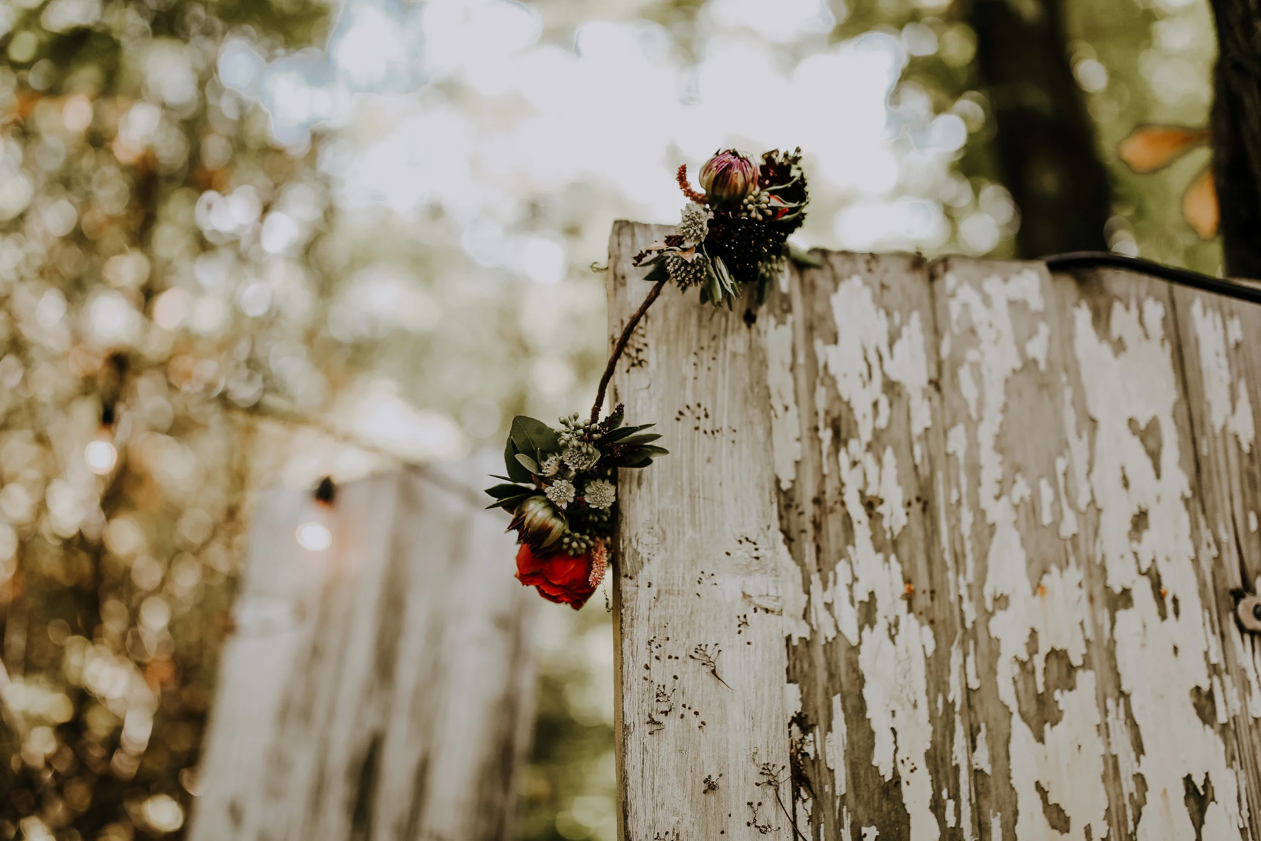 Rachael+Tom_Wedding_33.jpg