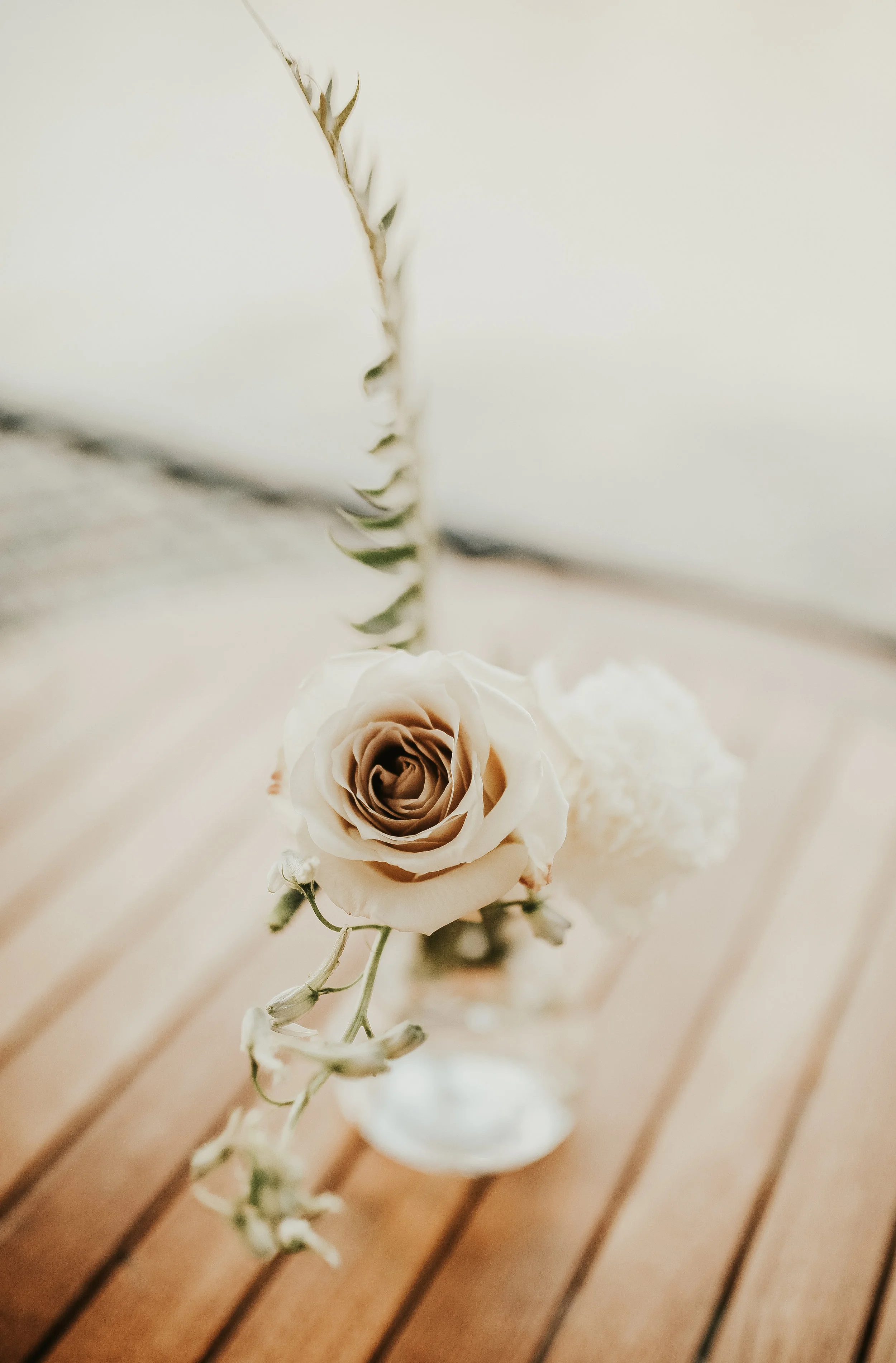 Meredith+Matt_WeddingDay_92.jpg