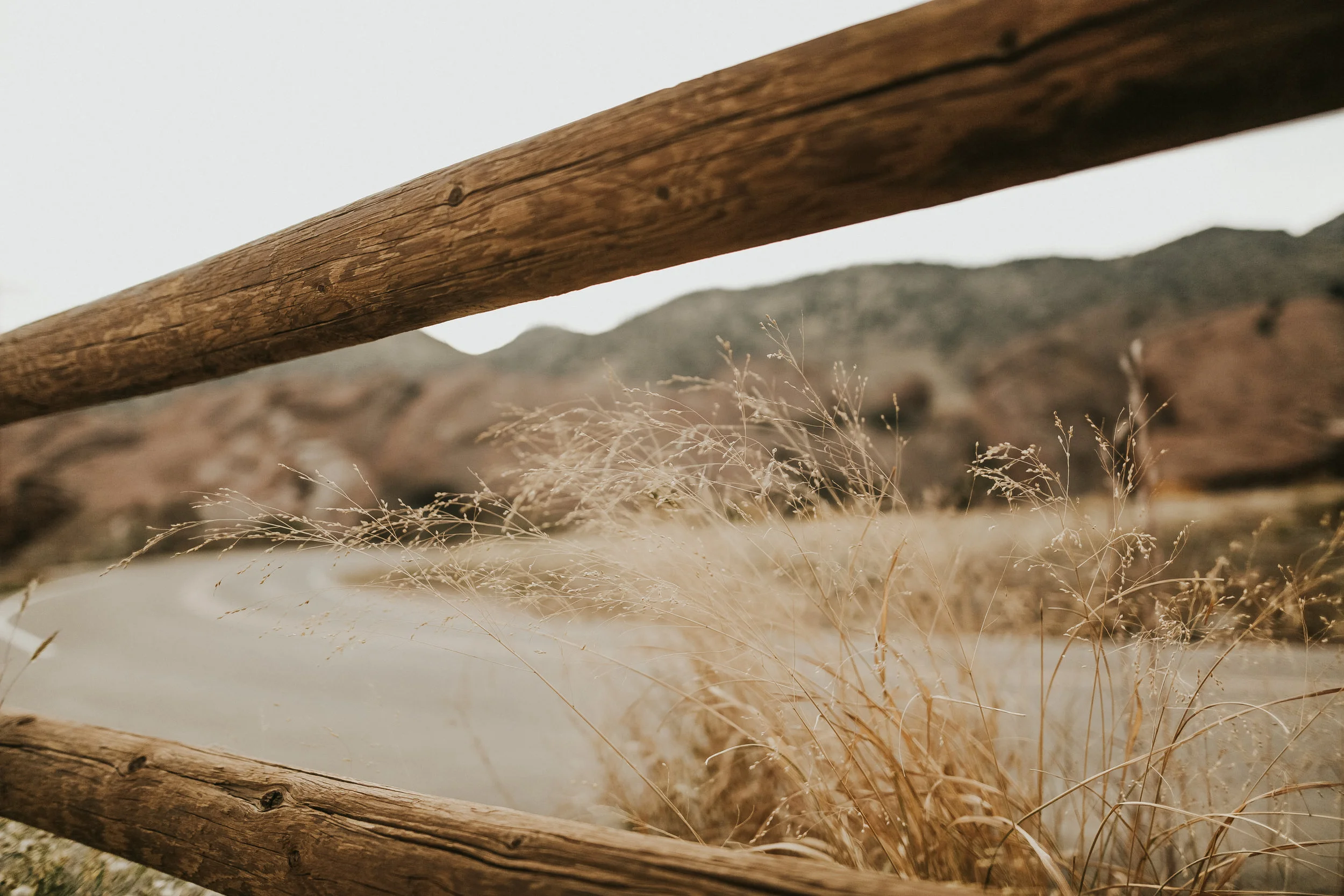 Corinne+Scott_Colorado_158.jpg