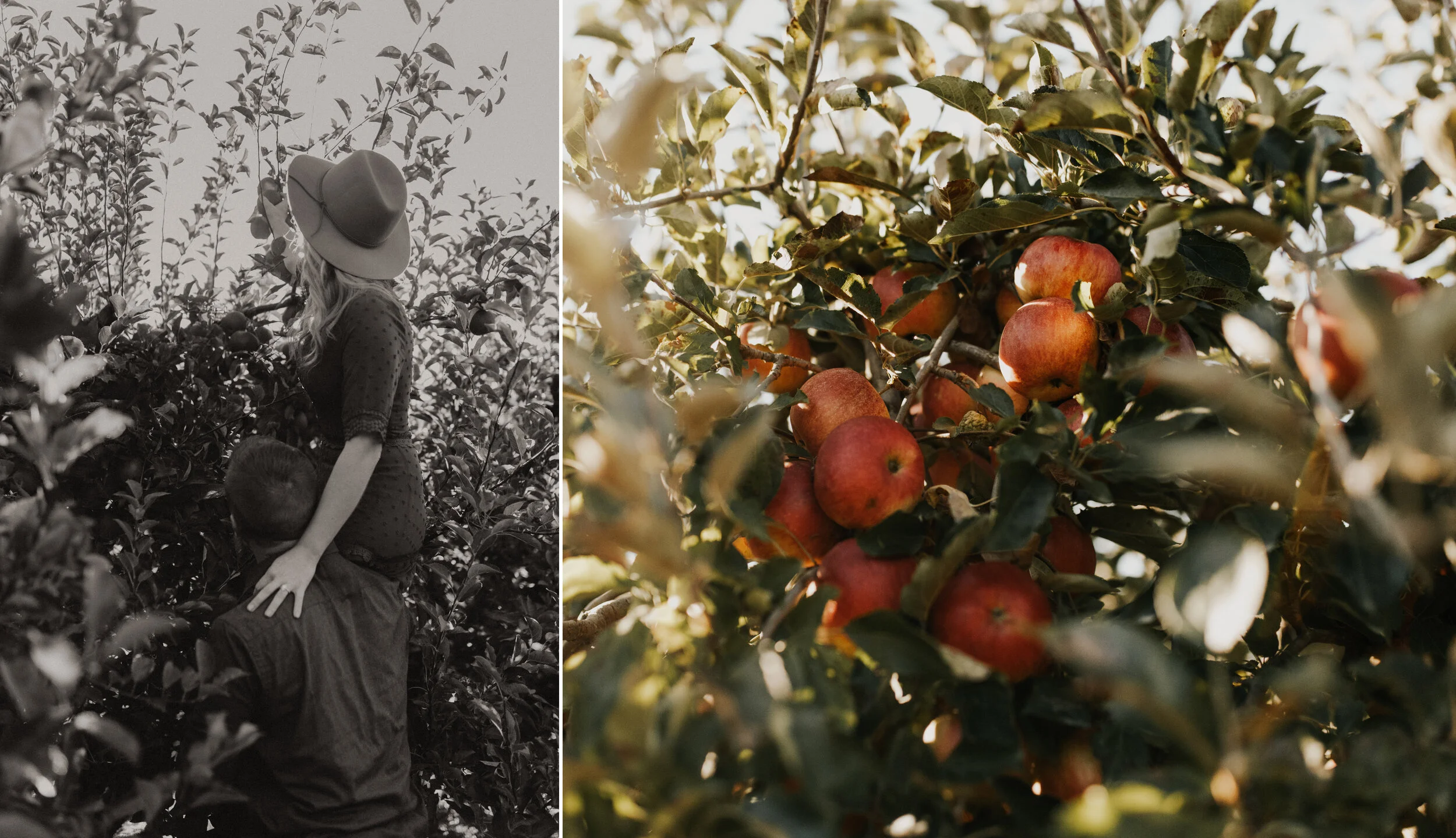 Alexis+Daniel_Engagement_BlogCollage2.jpg
