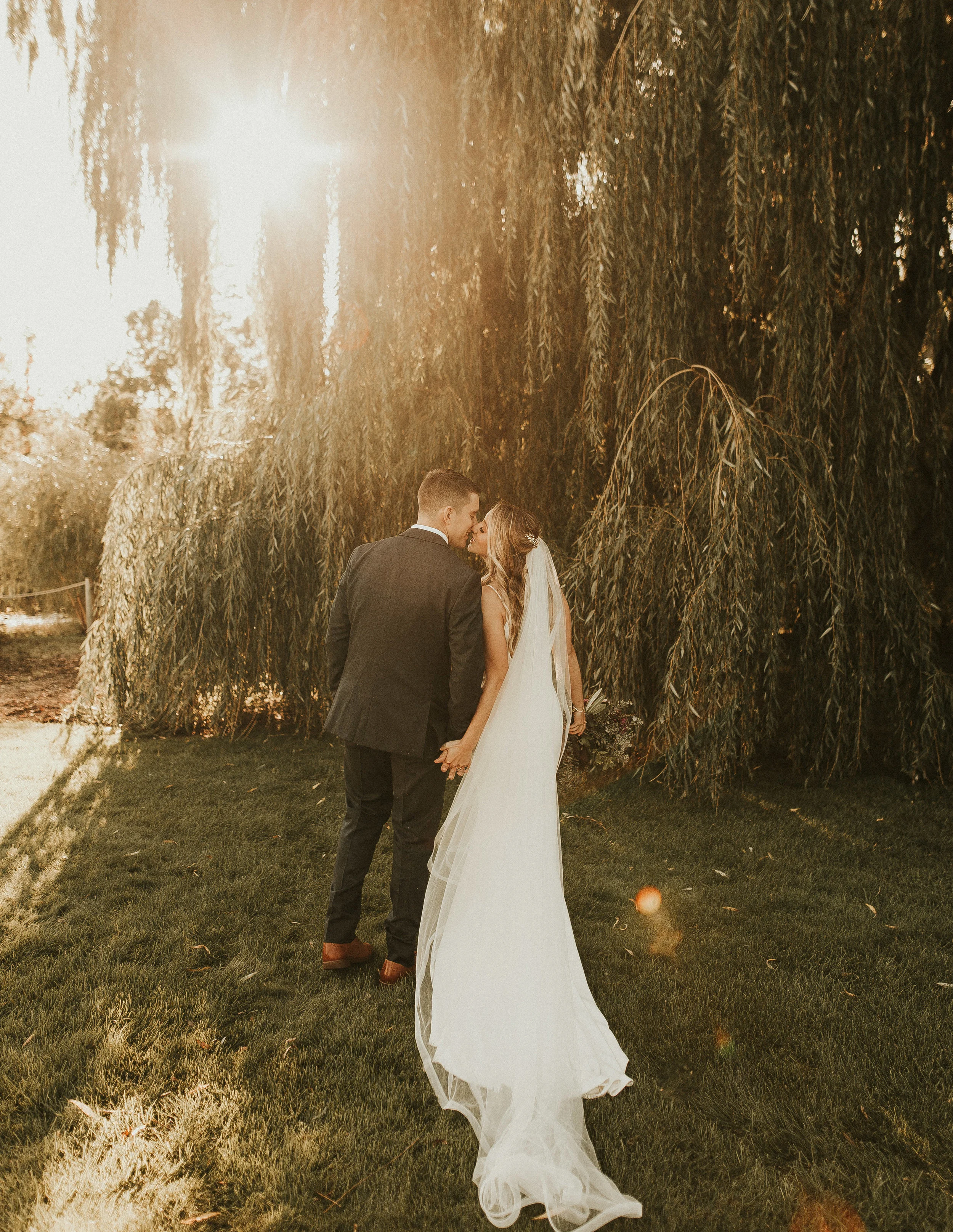 SAY YOU WON'T LET GO