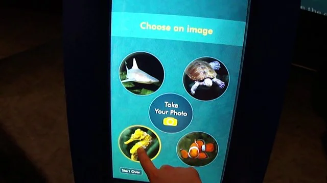 National Aquarium Walkthrough