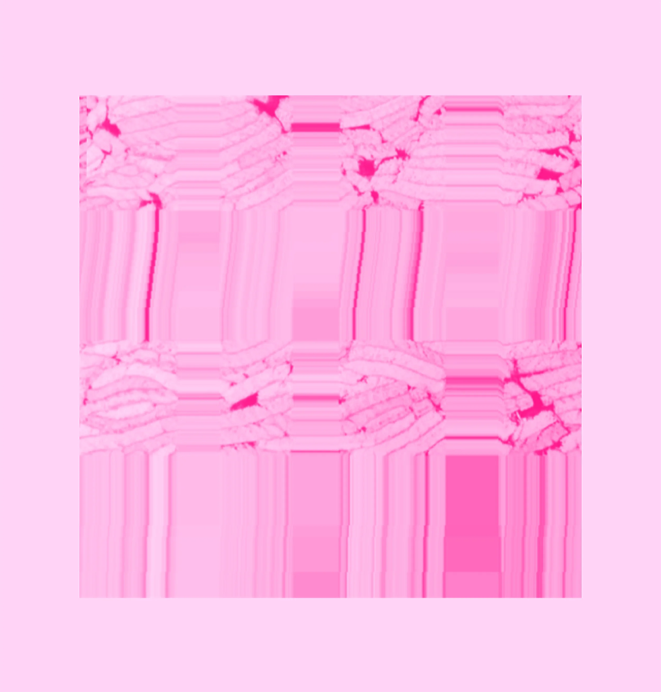 Pink2.jpg