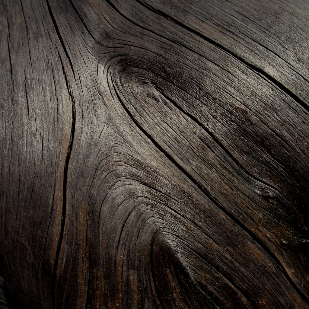 Wood grain
