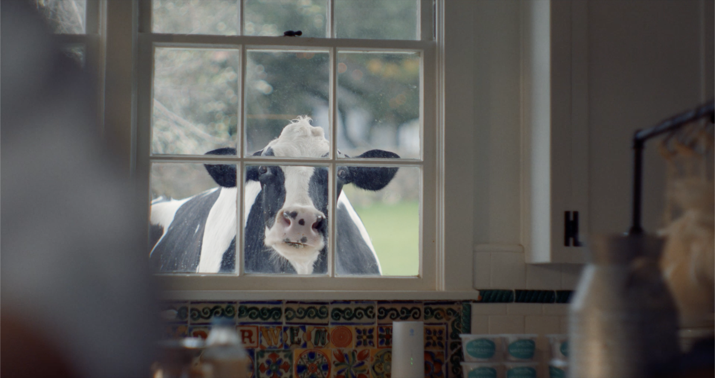 Screenshot 2025-06-12 at 4.20.08 PM.png