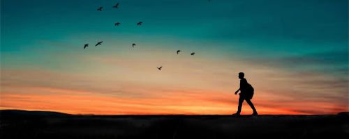 Untitled design (74).png