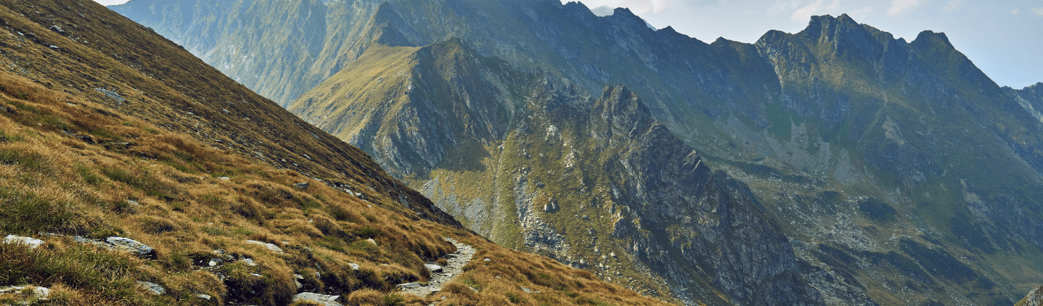 Home Banner (2) (1).png