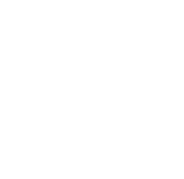 Logo with the name Allyson Conklin in a circular design, including 'Public Relations' and '2010'
