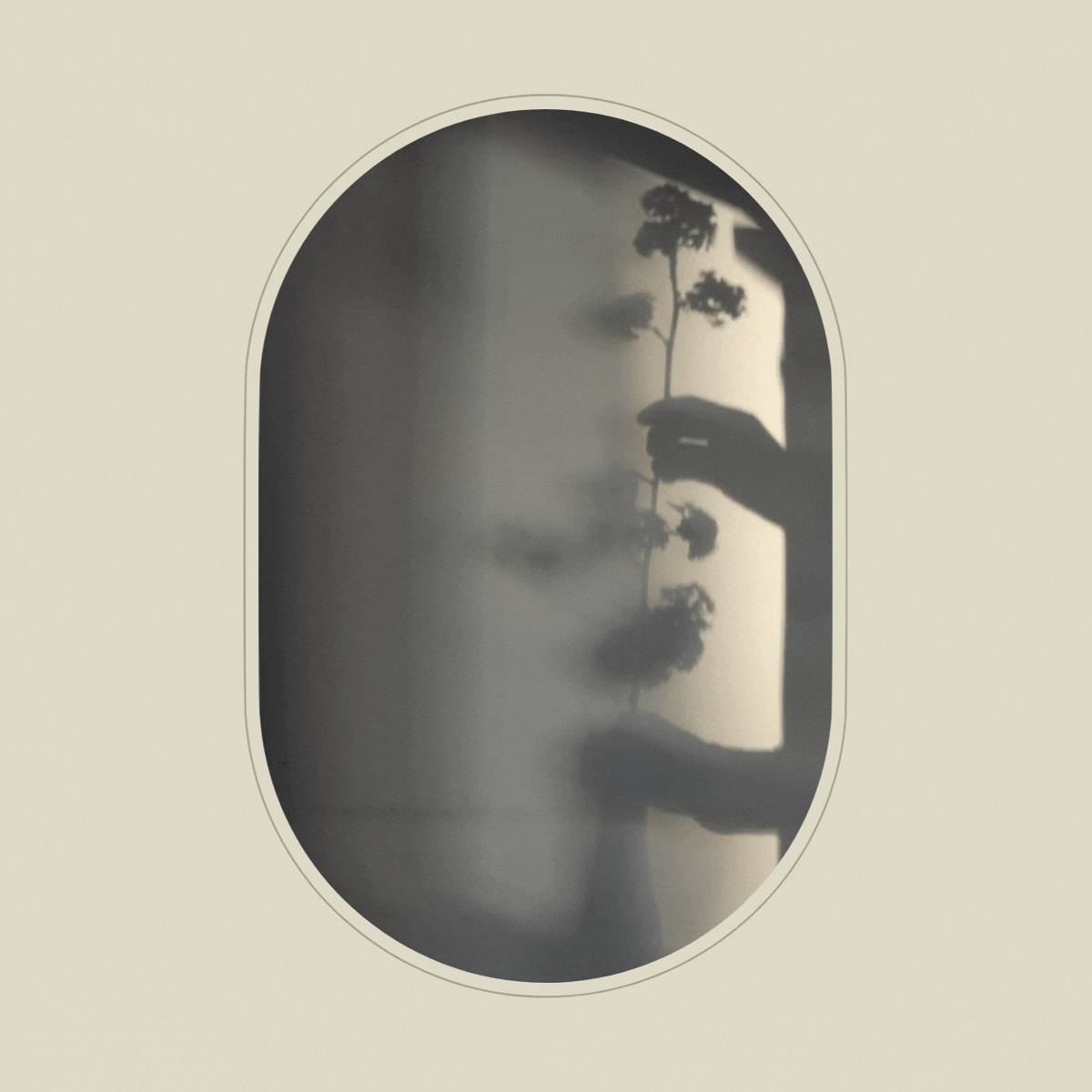 Lomii Studio Animated Video