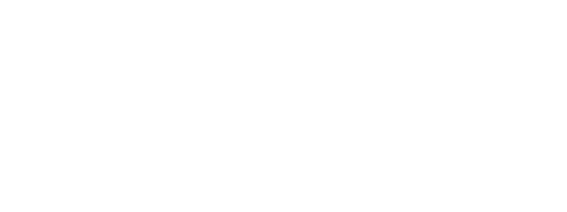 LARK Skin Co. Animated Logo