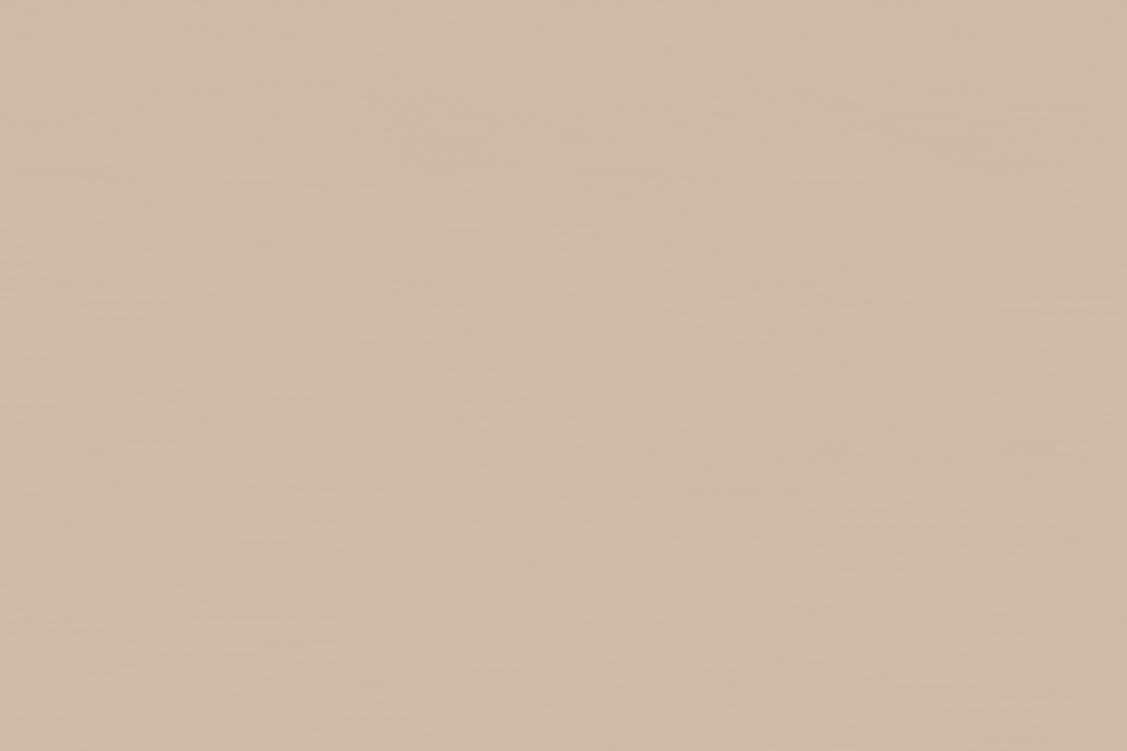 Blurry beige background with no distinguishable objects or details.