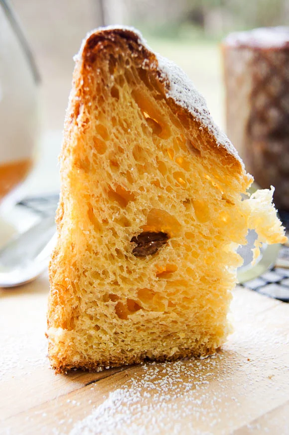 TBB_Golden Orange Panettone-5.jpg
