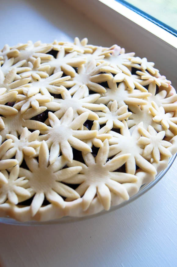 TBB_Black and Blueberry Pie-1.jpg