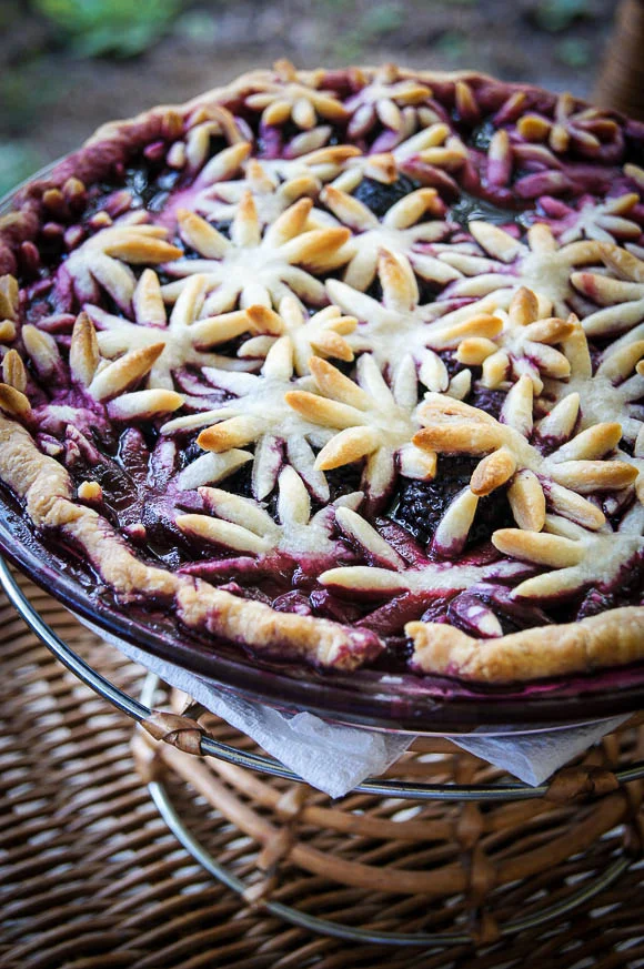 TBB_Black and Blueberry Pie-7.jpg