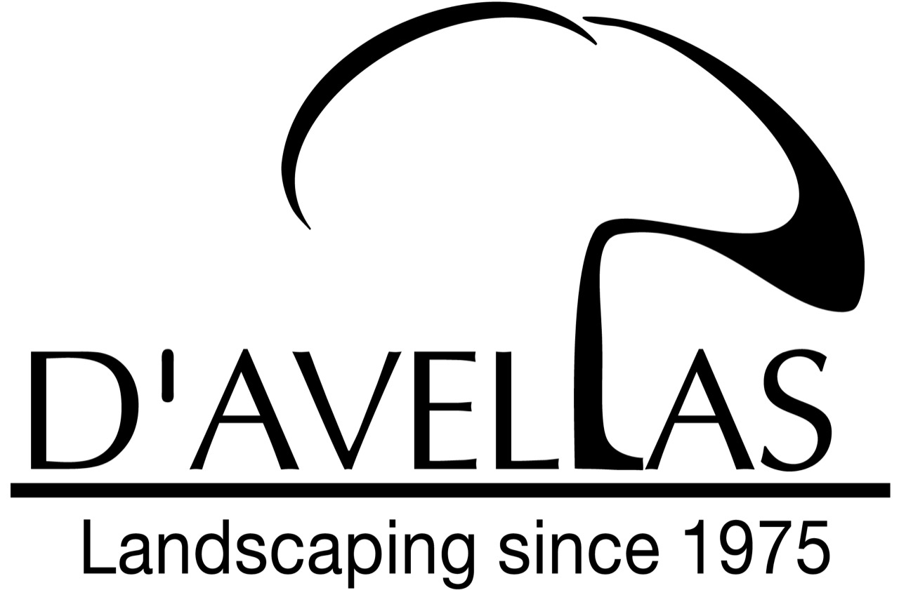 D'Avella's Landscaping