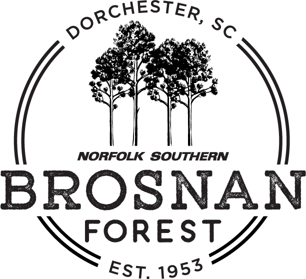 Brosnan Brand (1).png