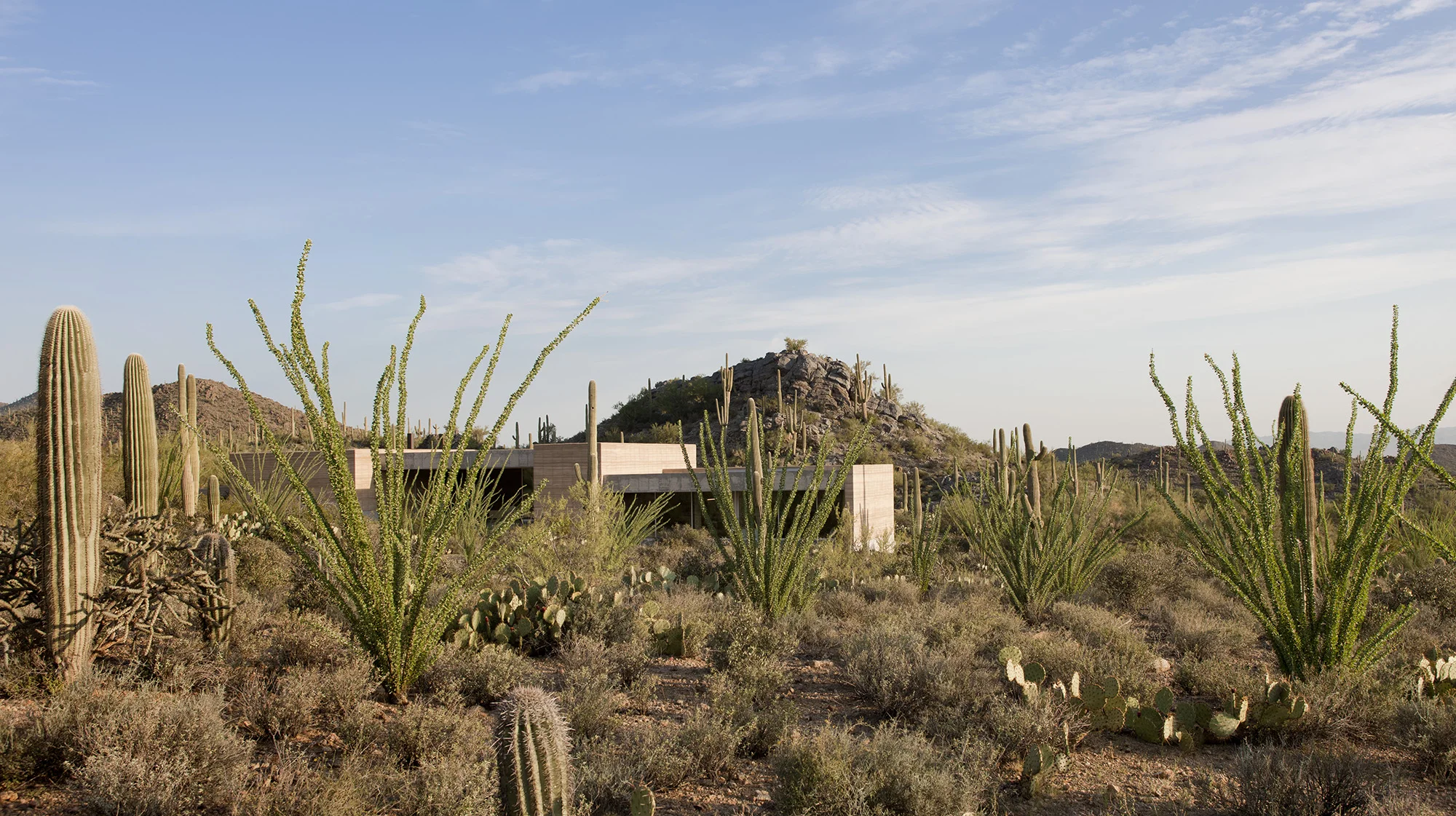 Jesus Robles of Design/Build Firm DUST