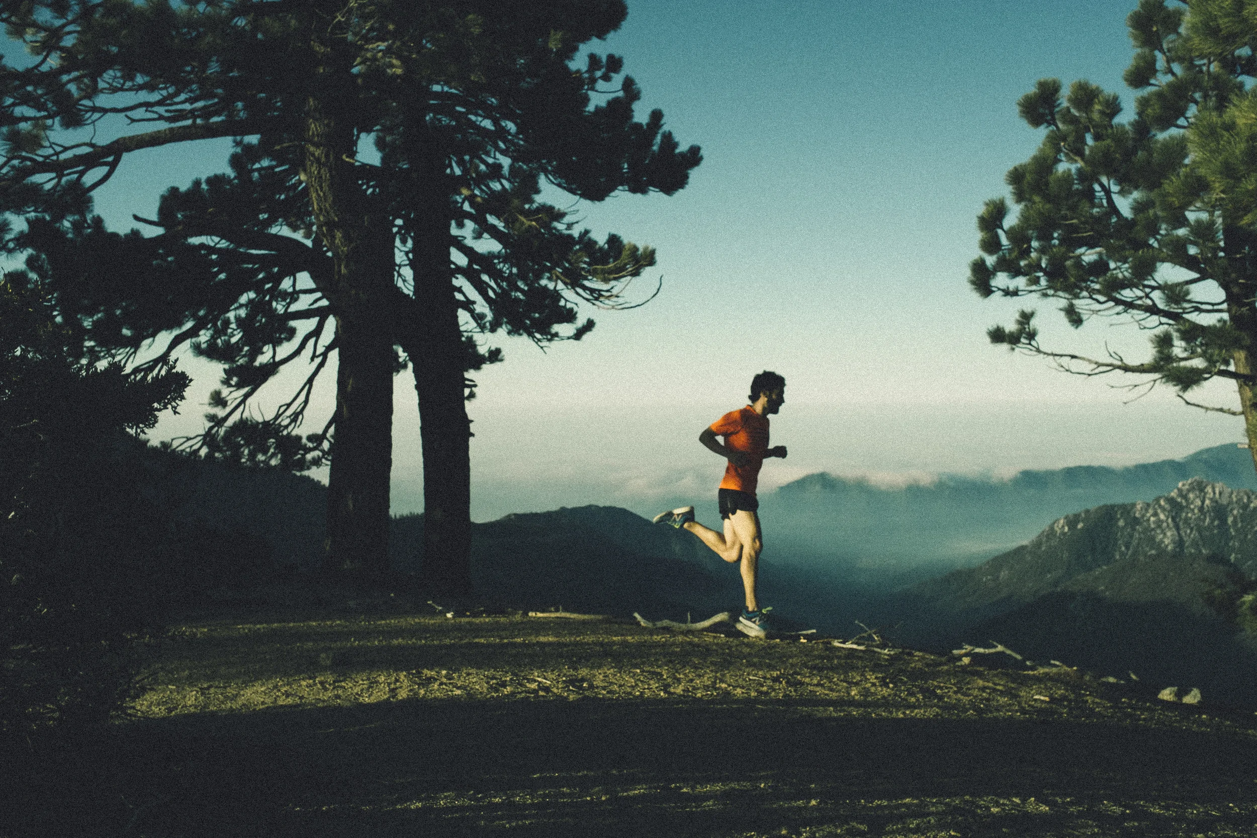Dominic Grossman, Photo: Patrick Gookin