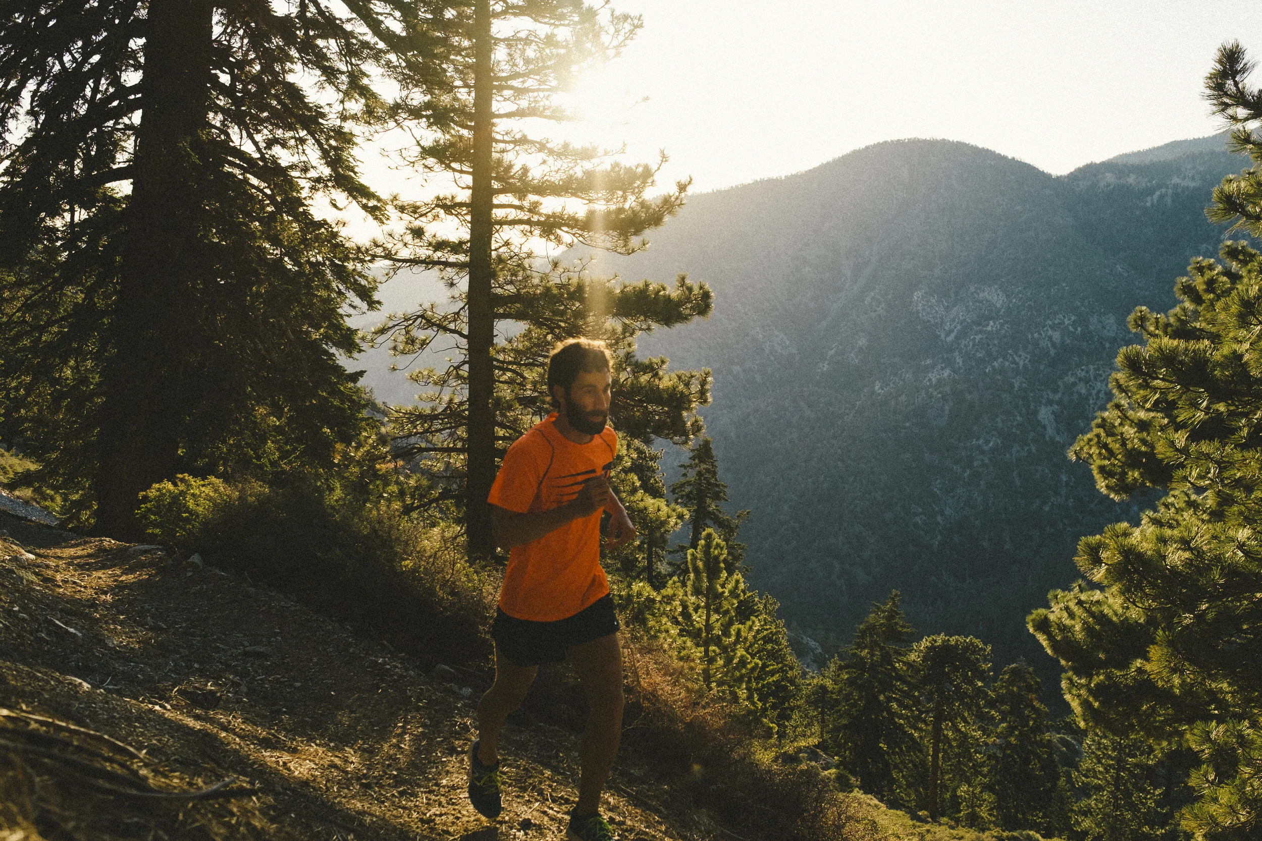 Dominic Grossman, Photo: Patrick Gookin