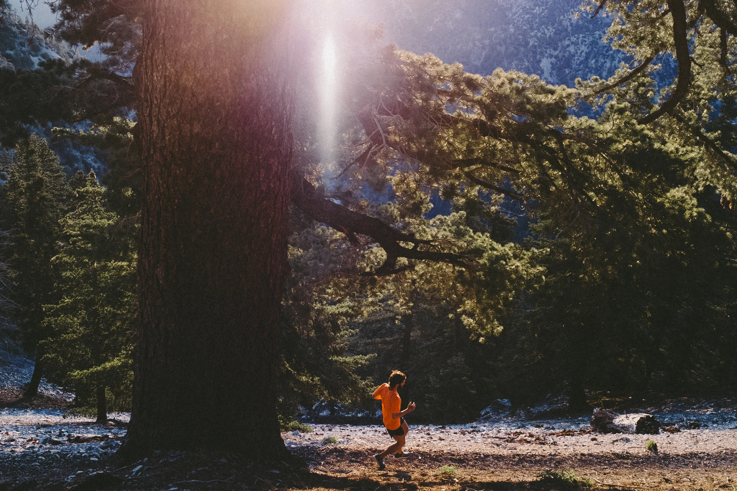 Dominic Grossman, Photo: Patrick Gookin