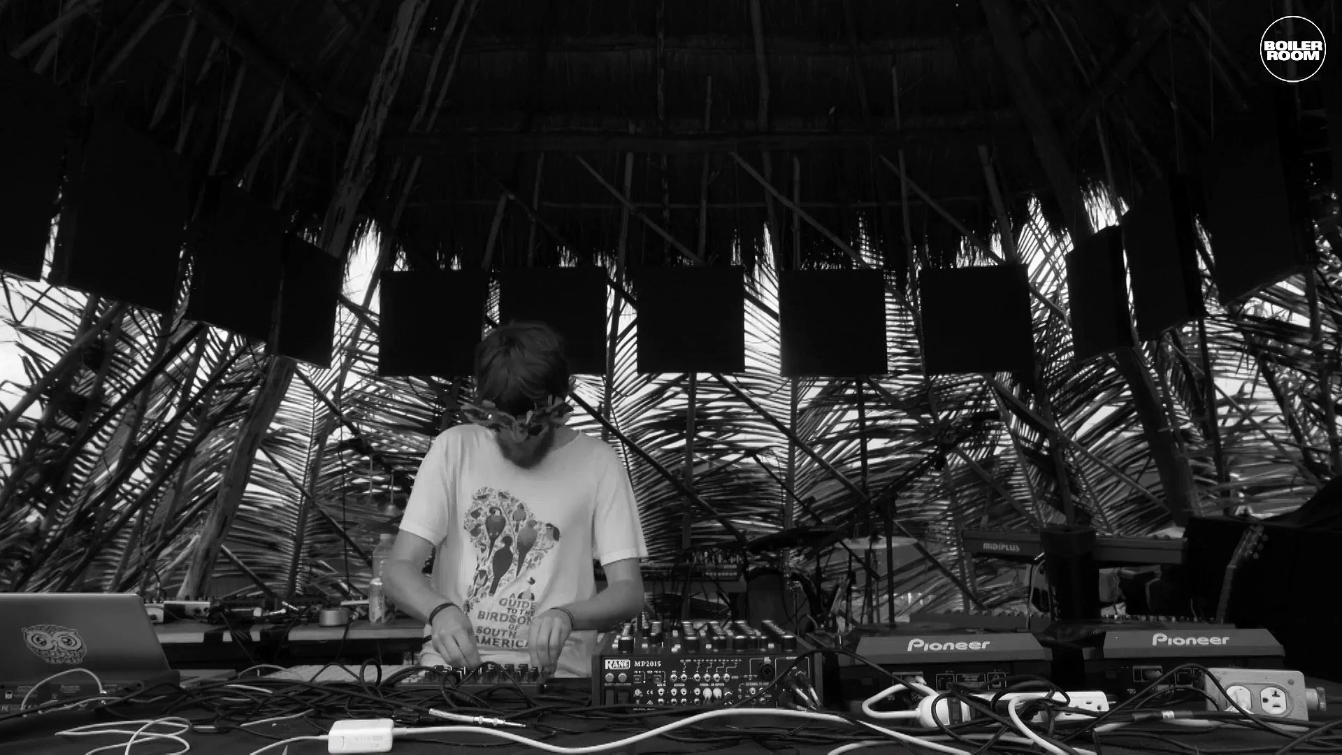 An Interview with El Búho