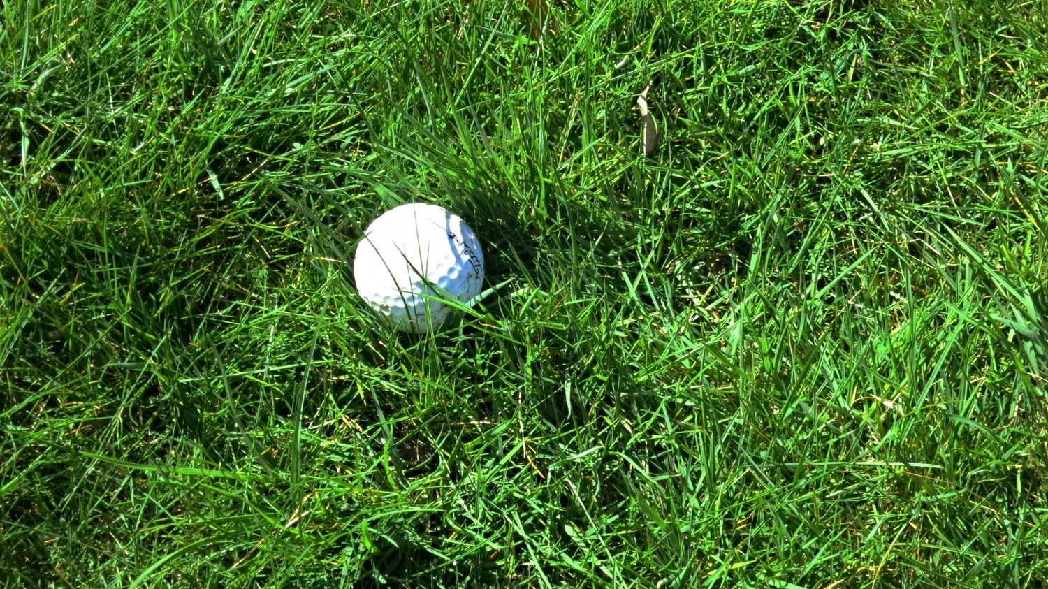 golf-ball.jpg