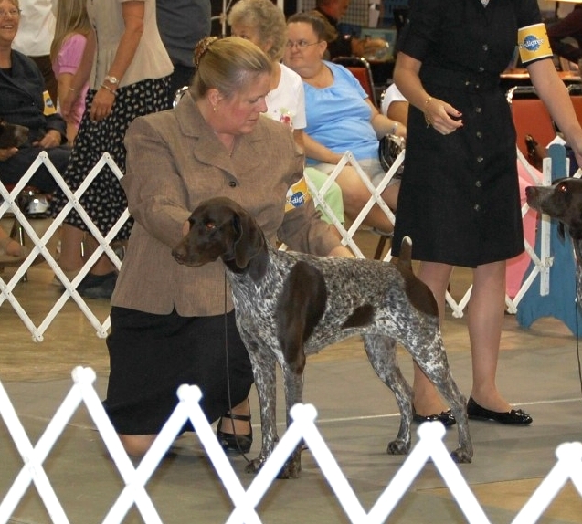 Sharpmtn's Moonlight Drive "Sassy" (show points)