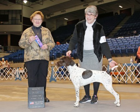 GCH. Markey's Joy Ride "Joy" (Agility too!)