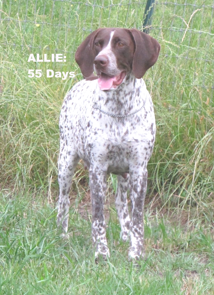 Allie-55days.jpg