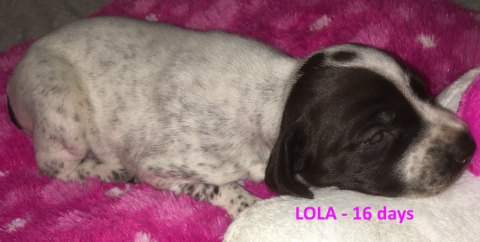 Lola-16days-web.jpg
