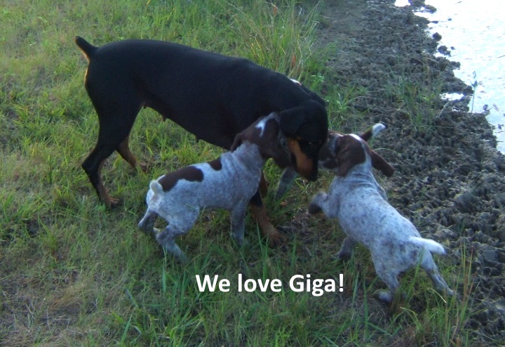 We-love-Giga.jpg