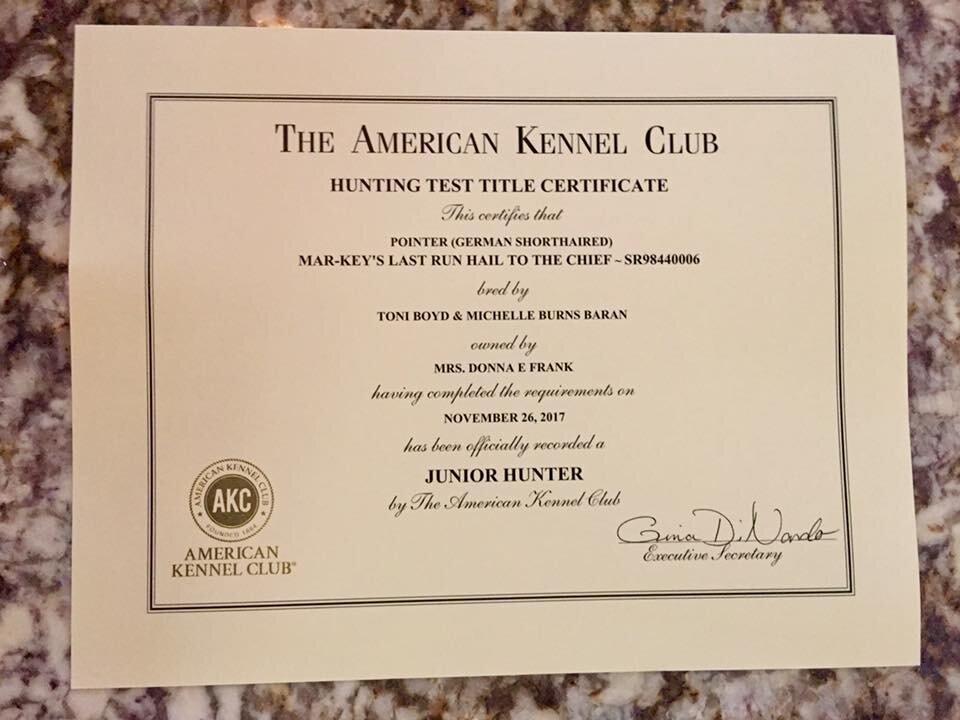 Chief-Jr. hunter certificate.jpg