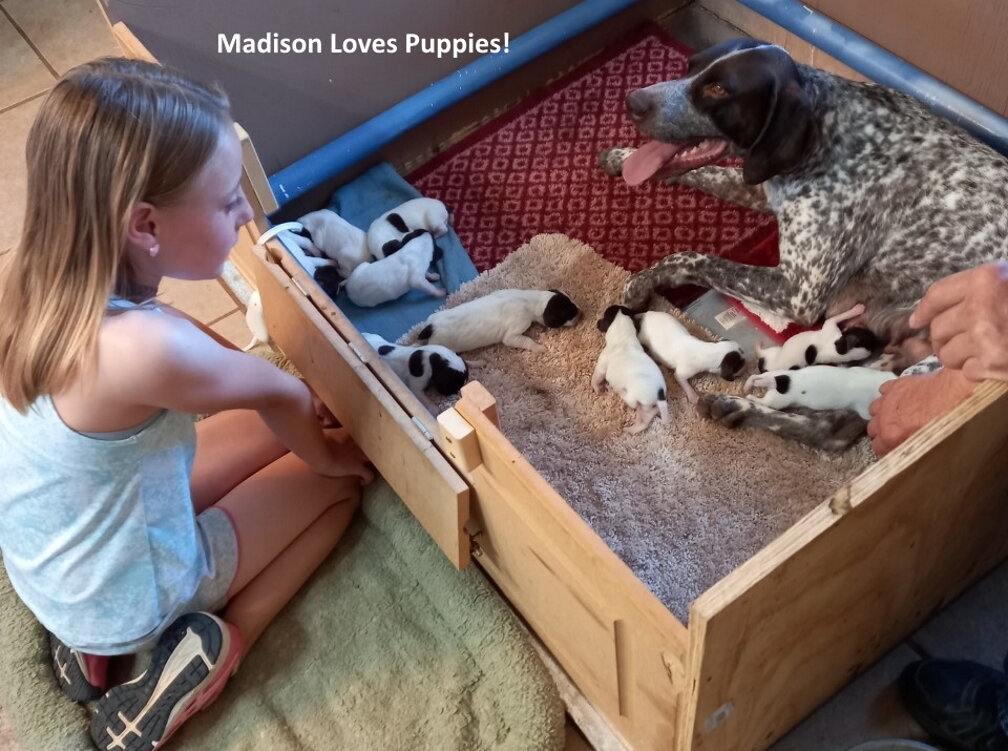 Madison+puppies-day3.jpg