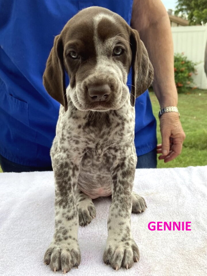 9-Gennie-5wks.jpg