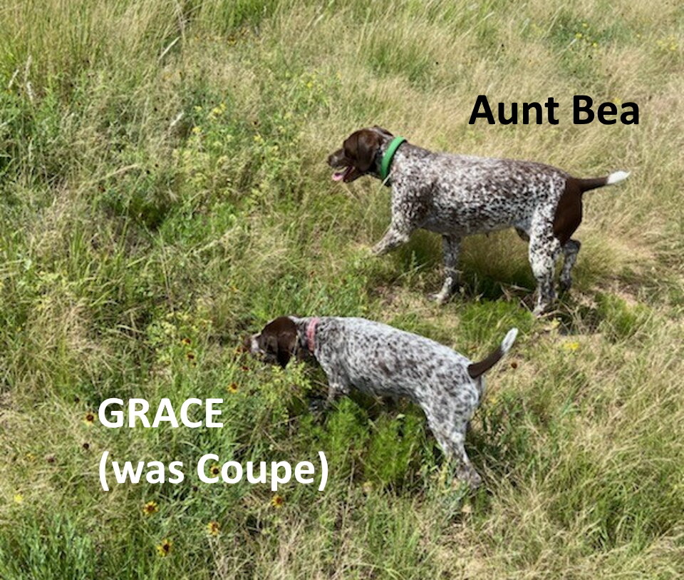 Grace+Bea-web.jpg