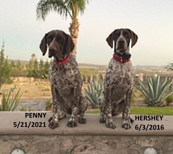 Hershey+Penny-Feb2022.jpg