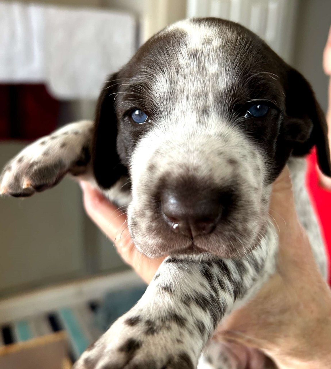 Hope-3weeks.JPEG