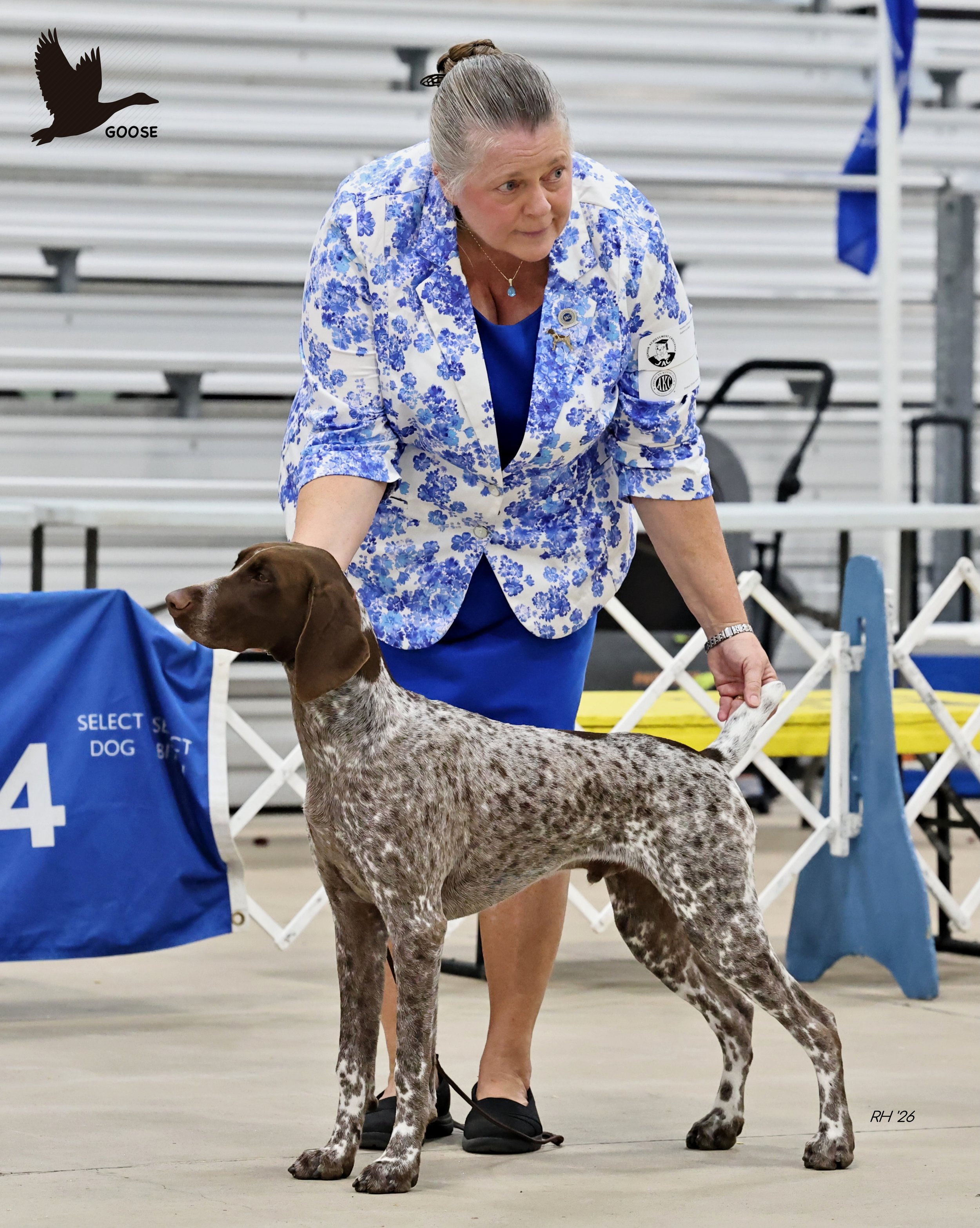 Goose-FirstWeekend.jpeg