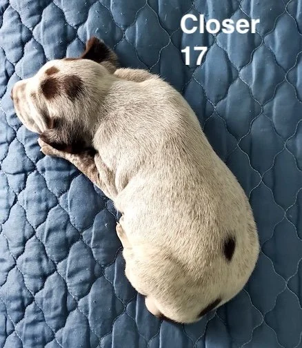 Closer-17days-1.jpeg