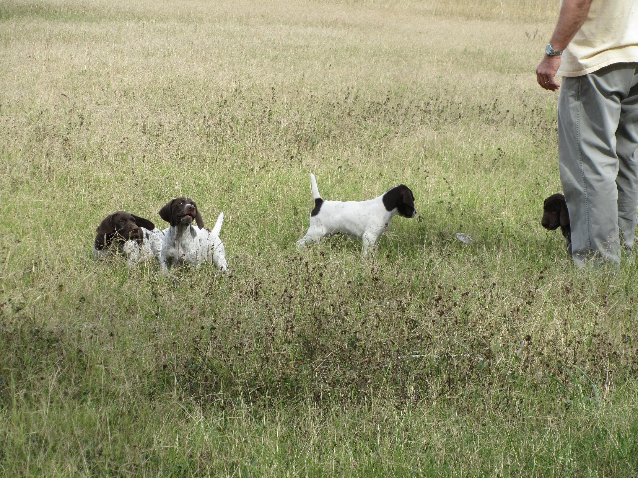 Holly%20&%20crew copy.jpg