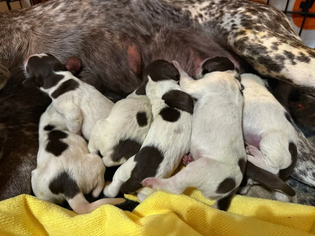 photo_2026-03-09 17.54.16.jpeg