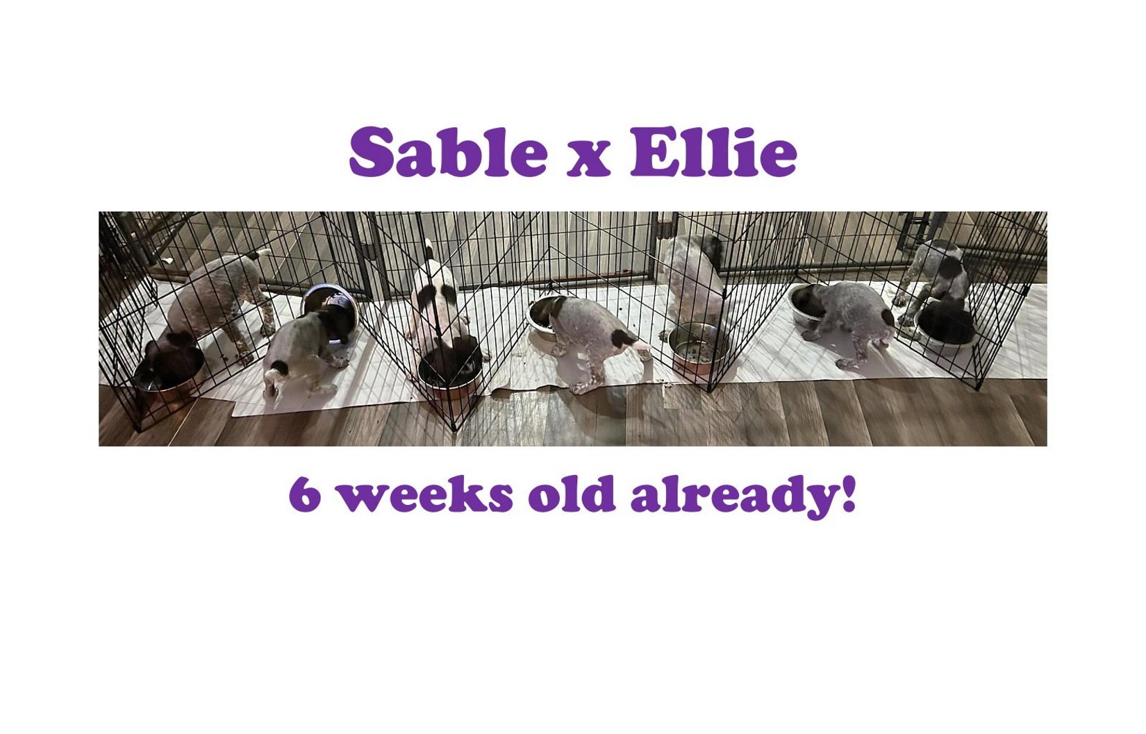 Banner-week6-1.jpg